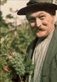 Adolf Dietrich
