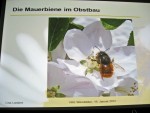Der nächste Fühling kommt bestimmt!
