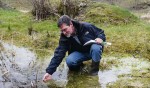 Dr. Raimund Hipp