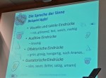 Die Sprache der Sinne